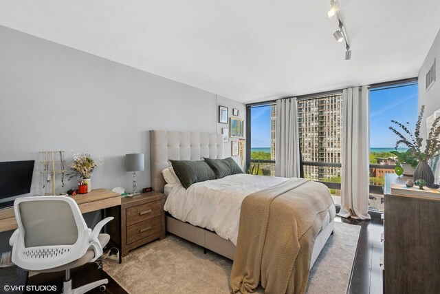 1636 N Wells St Unit 1107, Chicago, IL 60614 - bedroom featuring expansive windows and rail lighting