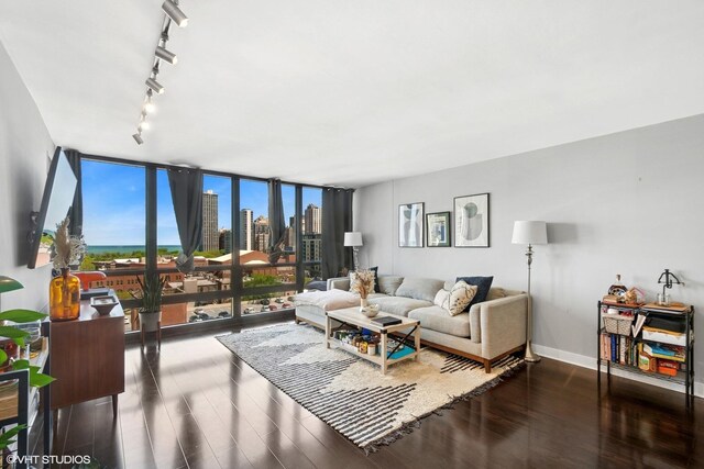 1636 N Wells St Unit 1107, Chicago, IL 60614 - living area featuring expansive windows, dark wood-style flooring, rail lighting, a skyline view, and baseboards