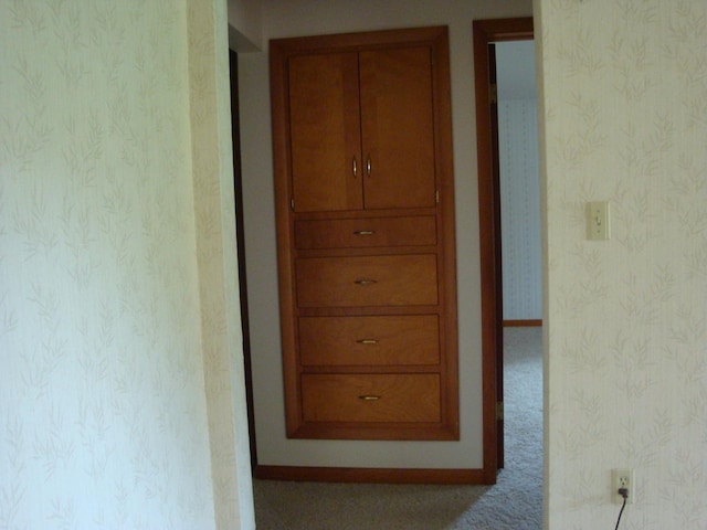 423 W Garfield Ave, Cissna Park, IL 60924 - view of corridor