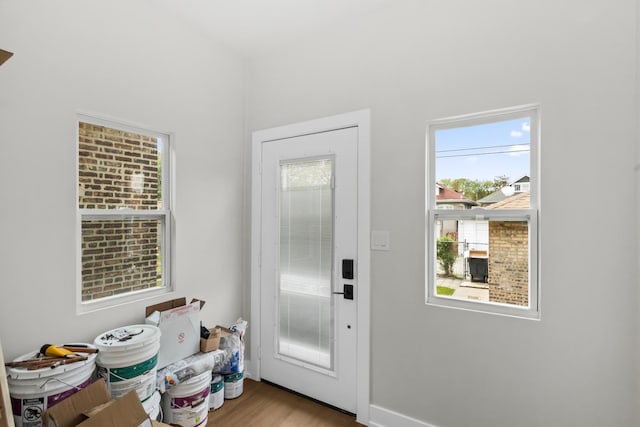 8114 S Paxton Ave, Chicago, IL 60617 - doorway to outside with plenty of natural light and wood finished floors