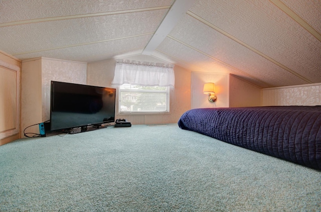 195 Fossil Cove Ln, Wilmington, IL 60481 - carpeted bedroom with vaulted ceiling and a textured ceiling