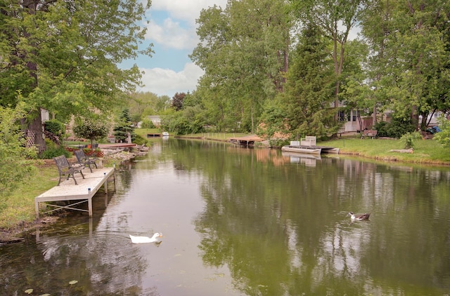 195 Fossil Cove Ln, Wilmington, IL 60481 - dock with a water view