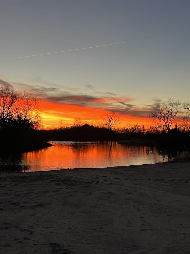 195 Fossil Cove Ln, Wilmington, IL 60481 - water view