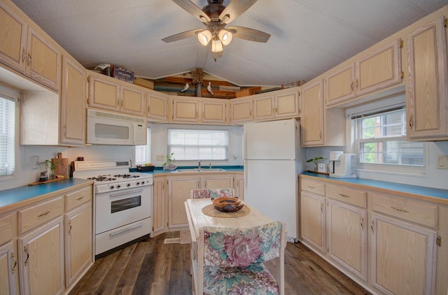 195 Fossil Cove Ln, Wilmington, IL 60481 - kitchen with white appliances, dark wood finished floors, ceiling fan, vaulted ceiling, and light brown cabinetry