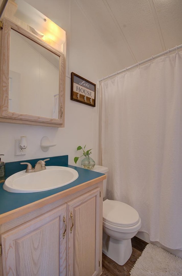 195 Fossil Cove Ln, Wilmington, IL 60481 - bathroom featuring toilet, vanity, and wood finished floors