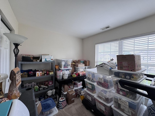 756 Lambert Ln, Bartlett, IL 60103 - view of storage room