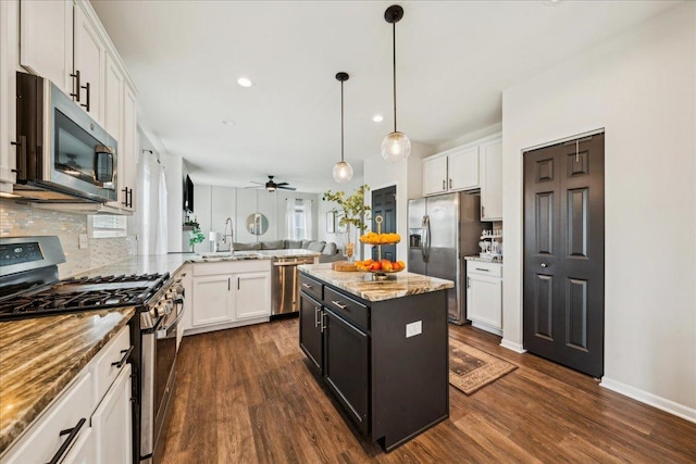 26143 S White Oak Trl, Channahon, IL 60410 - kitchen featuring stainless steel appliances, a sink, tasteful backsplash, dark wood finished floors, and recessed lighting