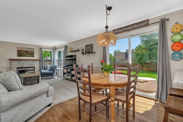 633 Salem Cir, Oswego, IL 60543 - dining space with wood finished floors, crown molding, and a fireplace