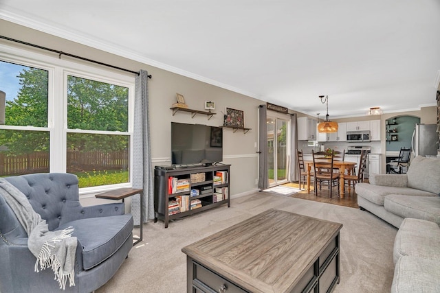 633 Salem Cir, Oswego, IL 60543 - living area featuring ornamental molding and light colored carpet