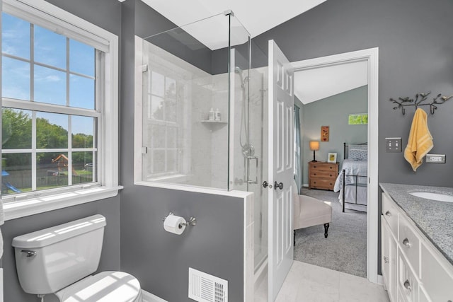 633 Salem Cir, Oswego, IL 60543 - full bathroom featuring ensuite bath, vanity, toilet, a shower stall, and lofted ceiling