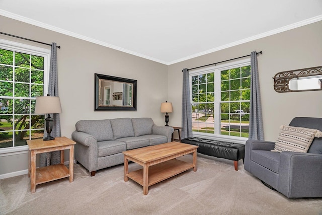 633 Salem Cir, Oswego, IL 60543 - living area with light colored carpet, plenty of natural light, ornamental molding, and baseboards