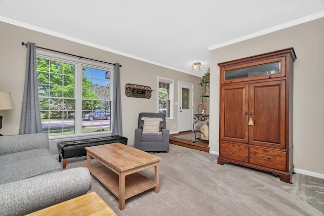 633 Salem Cir, Oswego, IL 60543 - living room featuring baseboards, light carpet, and crown molding