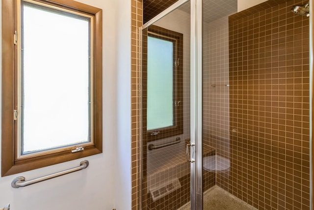 26 Marina Dr, Des Plaines, IL 60016 - bathroom with a stall shower