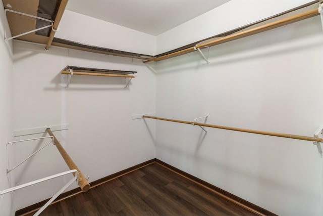 26 Marina Dr, Des Plaines, IL 60016 - spacious closet with dark wood-style flooring