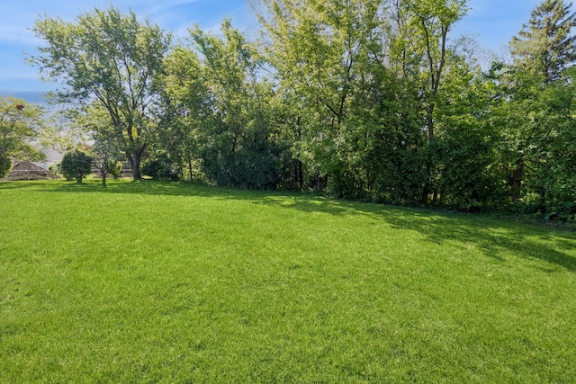 26 Marina Dr, Des Plaines, IL 60016 - view of green lawn