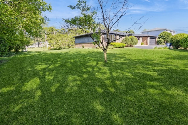 26 Marina Dr, Des Plaines, IL 60016 - view of green lawn