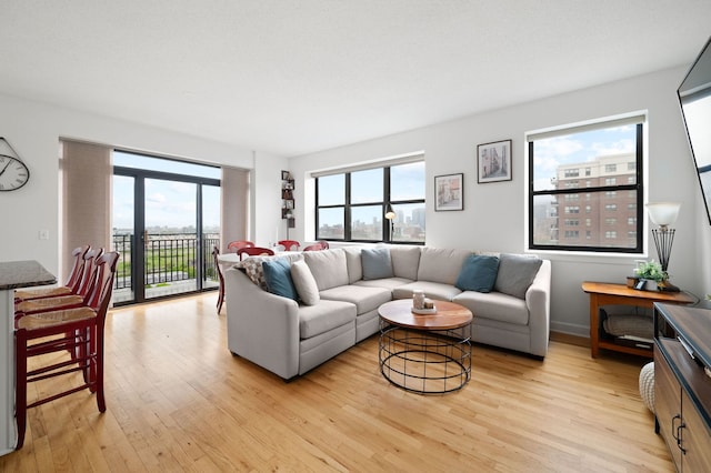1529 S State St Unit 13G, Chicago, IL 60605 - living room with light wood finished floors, healthy amount of natural light, and baseboards
