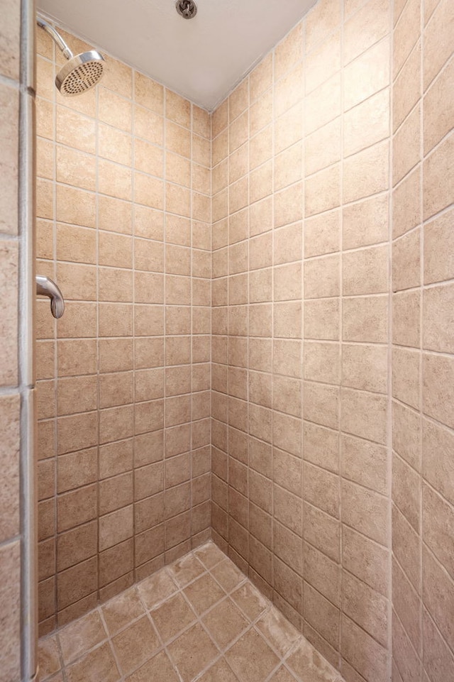 1529 S State St Unit 13G, Chicago, IL 60605 - bathroom with tiled shower