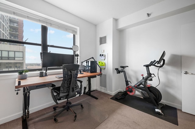 1529 S State St Unit 13G, Chicago, IL 60605 - office space with baseboards and carpet floors
