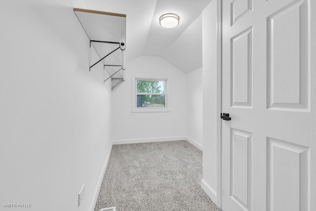 8127 S Jeffery Blvd, Chicago, IL 60617 - walk in closet with carpet floors and lofted ceiling