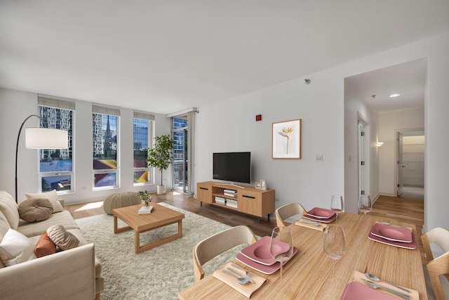 1250 S Michigan Ave Unit 702, Chicago, IL 60605 - living room featuring wood finished floors