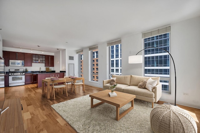 1250 S Michigan Ave Unit 702, Chicago, IL 60605 - living area with light wood-style flooring and rail lighting