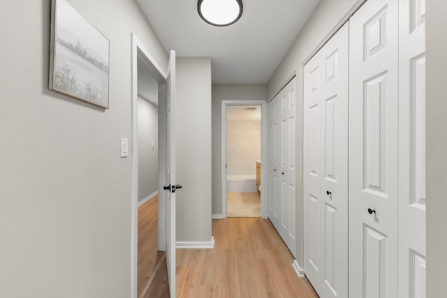 1320B Lore Ln Unit 117, Lombard, IL 60148 - corridor with light wood finished floors and baseboards