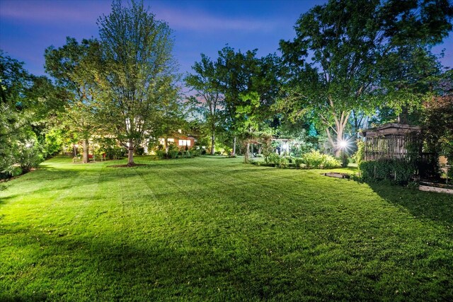 15629 W 139th St, Homer Glen, IL 60491 - view of grassy yard