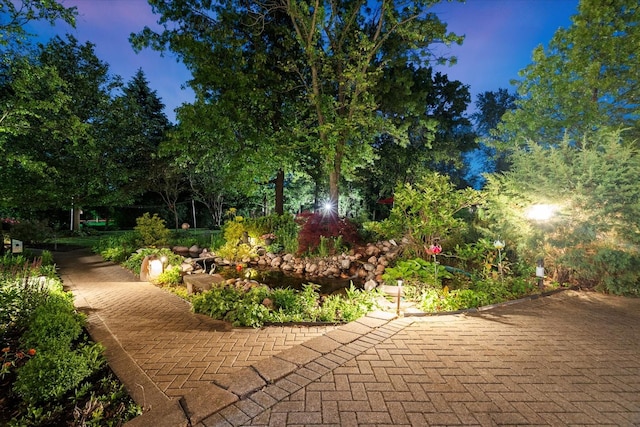 15629 W 139th St, Homer Glen, IL 60491 - view of patio