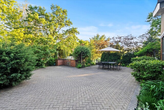 15629 W 139th St, Homer Glen, IL 60491 - view of patio / terrace featuring area for grilling