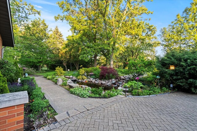 15629 W 139th St, Homer Glen, IL 60491 - view of community