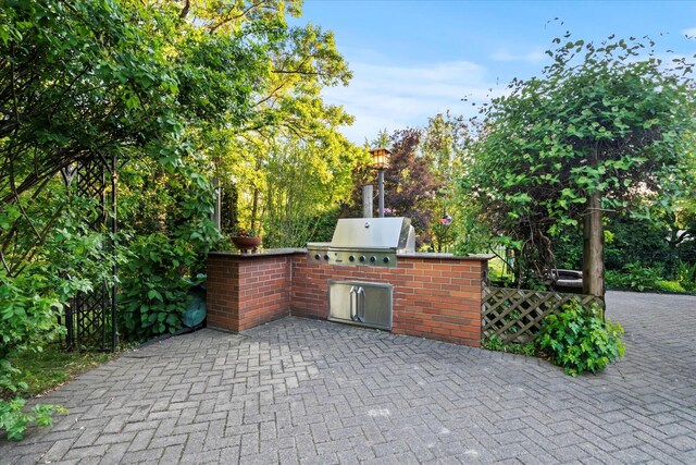 15629 W 139th St, Homer Glen, IL 60491 - view of patio
