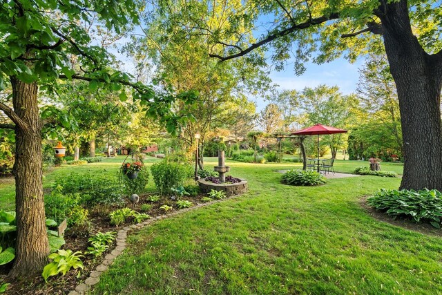 15629 W 139th St, Homer Glen, IL 60491 - view of green lawn