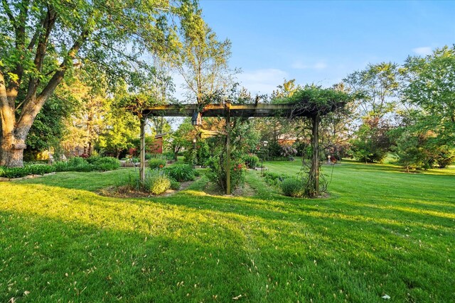 15629 W 139th St, Homer Glen, IL 60491 - view of green lawn