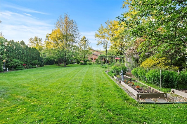 15629 W 139th St, Homer Glen, IL 60491 - view of grassy yard with a garden