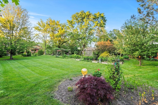 15629 W 139th St, Homer Glen, IL 60491 - view of green lawn