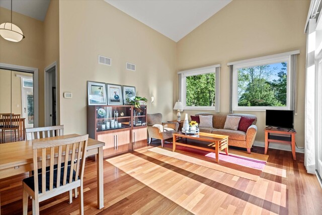 15629 W 139th St, Homer Glen, IL 60491 - living area featuring high vaulted ceiling and wood finished floors