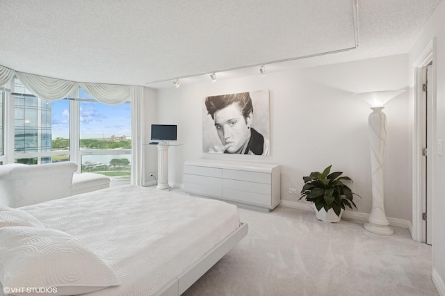 195 N Harbor Dr Unit 801-809, Chicago, IL 60601 - bedroom featuring track lighting, carpet, and a textured ceiling