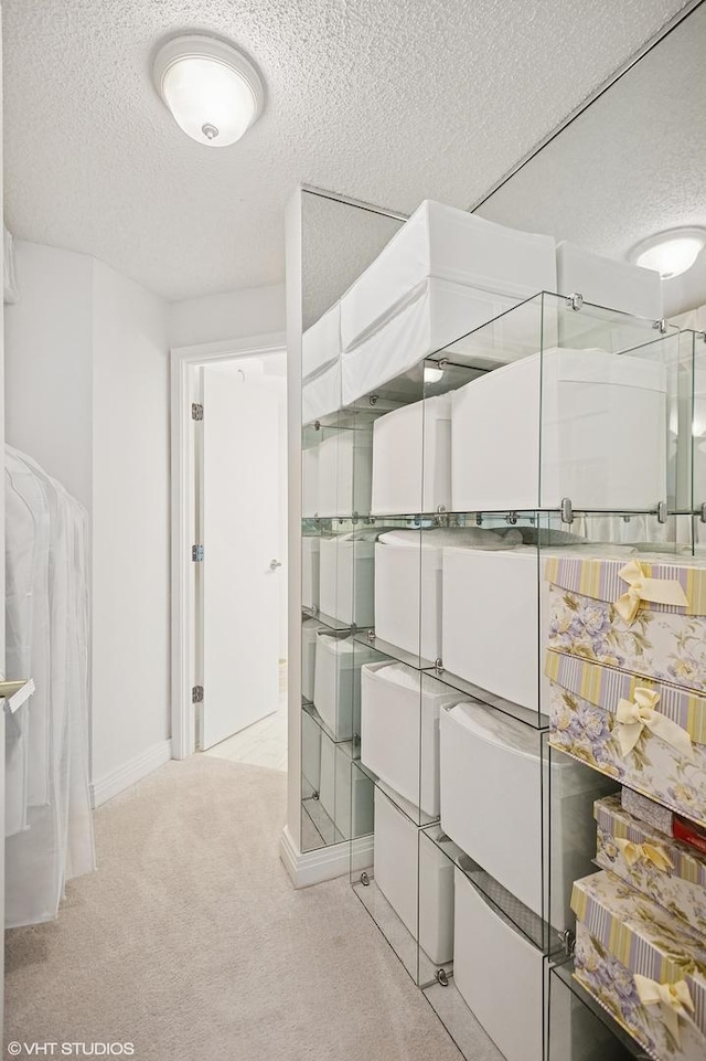 195 N Harbor Dr Unit 801-809, Chicago, IL 60601 - view of storage area
