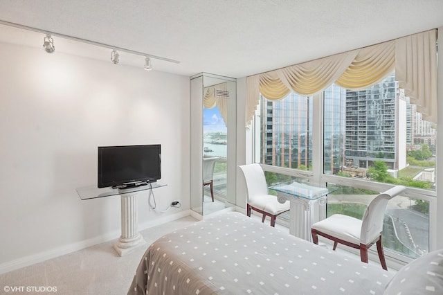 195 N Harbor Dr Unit 801-809, Chicago, IL 60601 - carpeted bedroom with access to outside, multiple windows, and track lighting