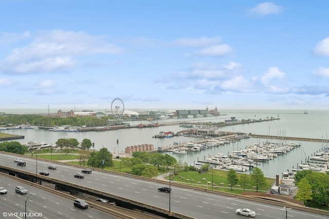 195 N Harbor Dr Unit 801-809, Chicago, IL 60601 - water view with numerous boat docks