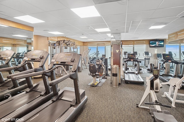 195 N Harbor Dr Unit 801-809, Chicago, IL 60601 - workout area with a paneled ceiling and carpet