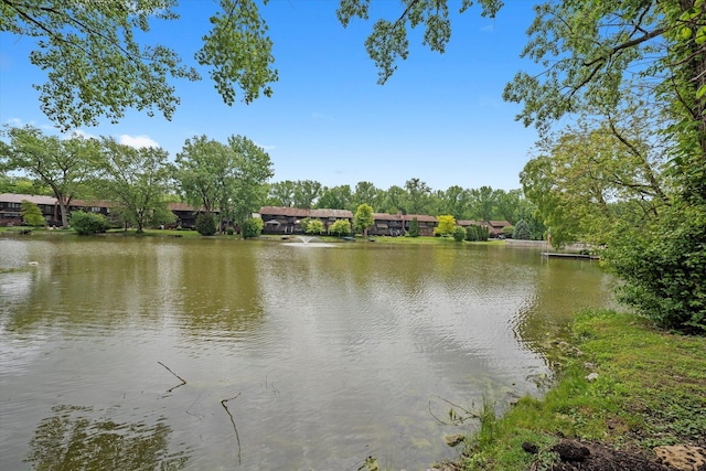 8771 Waterfront Dr Unit 3A, Palos Hills, IL 60465 - water view