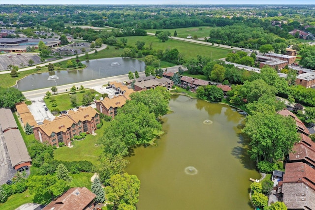 8771 Waterfront Dr Unit 3A, Palos Hills, IL 60465 - drone / aerial view of a large body of water and a tree filled landscape