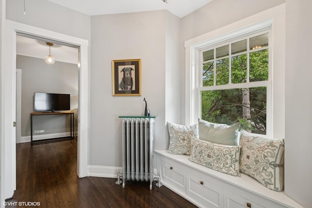 310 Fairview Ave, Winnetka, IL 60093 - living area with radiator heating unit, dark wood finished floors, and baseboards