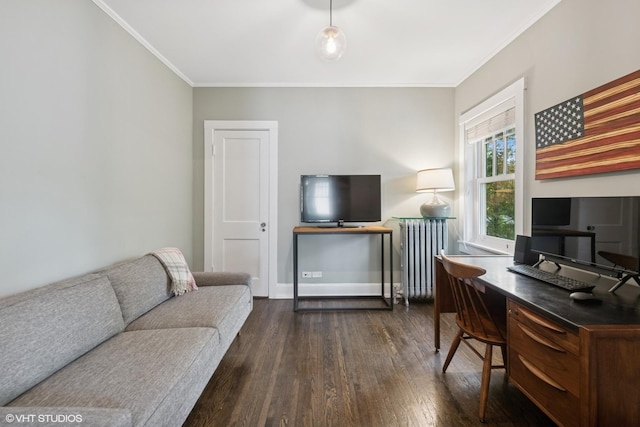 310 Fairview Ave, Winnetka, IL 60093 - office area featuring radiator, dark wood-style floors, crown molding, and baseboards