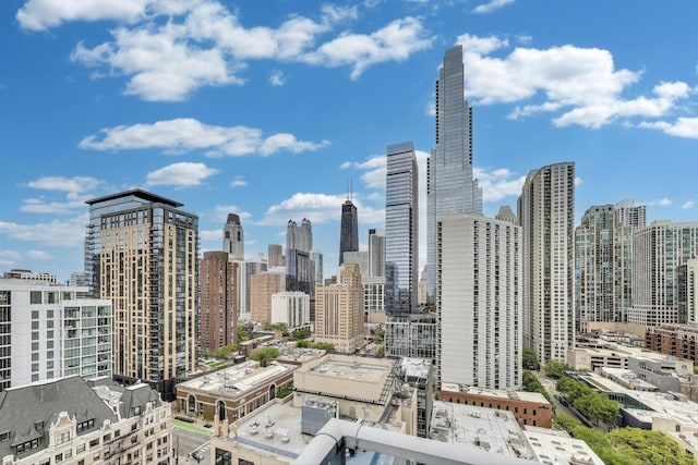 110 W Superior St Unit 1703, Chicago, IL 60654 - view of city skyline