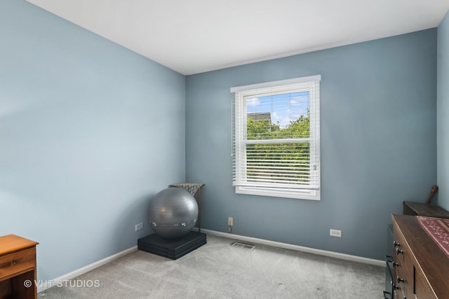 303 College Xing, Rolling Meadows, IL 60008 - miscellaneous room featuring baseboards and carpet floors