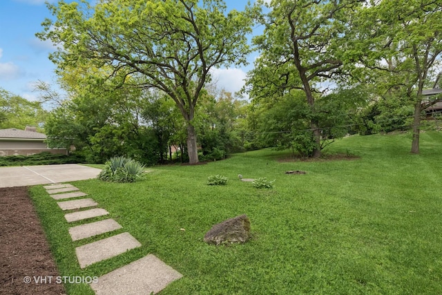 420 N E Gateway Dr, Tower Lakes, IL 60010 - view of green lawn