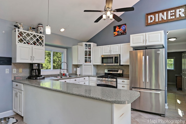 1504 N Denali Trl, Mchenry, IL 60050 - kitchen with appliances with stainless steel finishes, a sink, a peninsula, a ceiling fan, and white cabinets